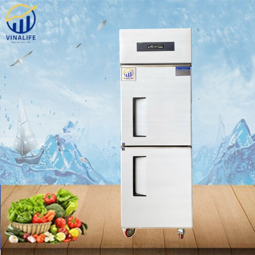 Tủ Đông 2 Cánh Quạt Gió VNL